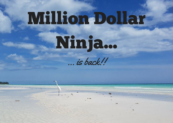 Million Dollar Ninja is back